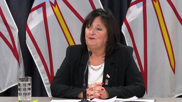 Justice minister hopes new group tackles provincial court suspension by February