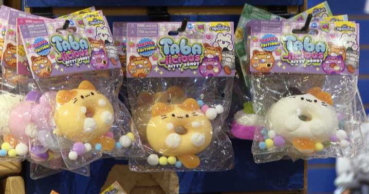 Local toy shop prepares for costly holiday season