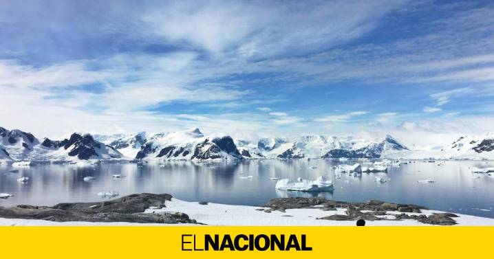 La vegetación que esconde la Antártida: esto es lo que destapa un nuevo estudio