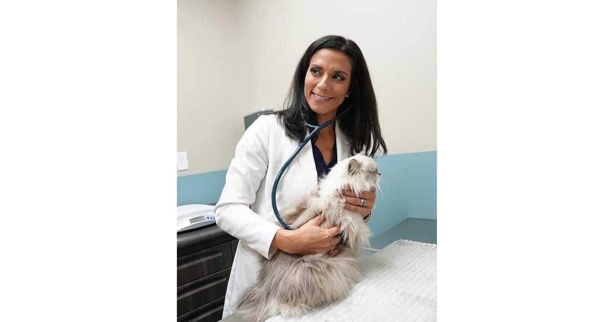 El regalo definitivo para monitorear la salud de su gato durante esta temporada de fiestas y posteriormente