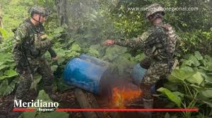 Golpe importante contra narcotráfico en Nariño