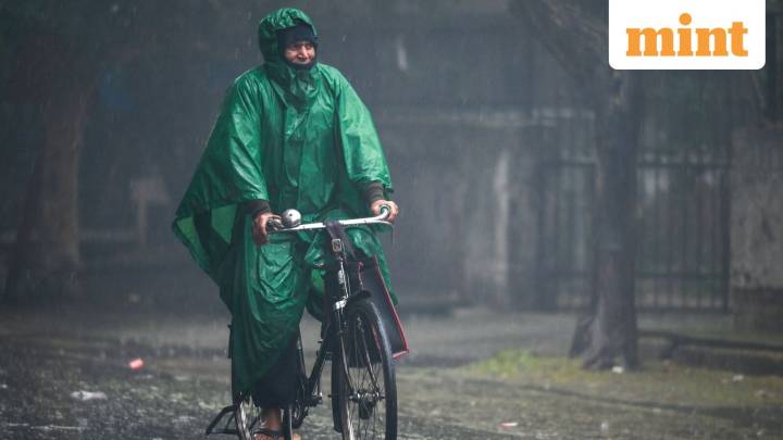 Delhi weather: When to expect 'Dilli ki sardi'? Harsh winters expected after…