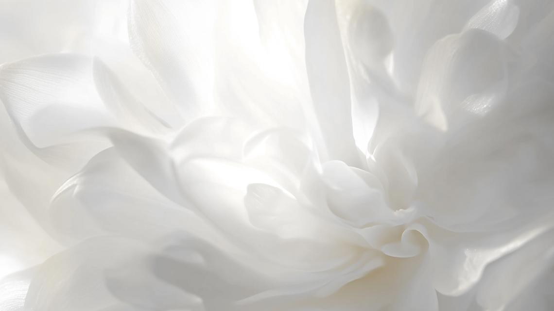 Pantone's Color of the Year for 2026 revealed