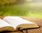 The biblical passages that Canada could list as hate speech