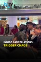 Delhi Airport Protest: Angry IndiGo Flyers Chant Slogans Amid Flight Cancellations