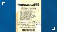 'It was amazing!' | Kalamazoo woman wins $3 million playing Mega Millions