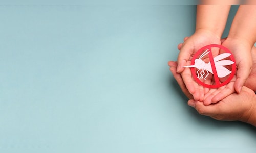 CDC issues travel health advisory amid Chikungunya outbreak: India listed among high