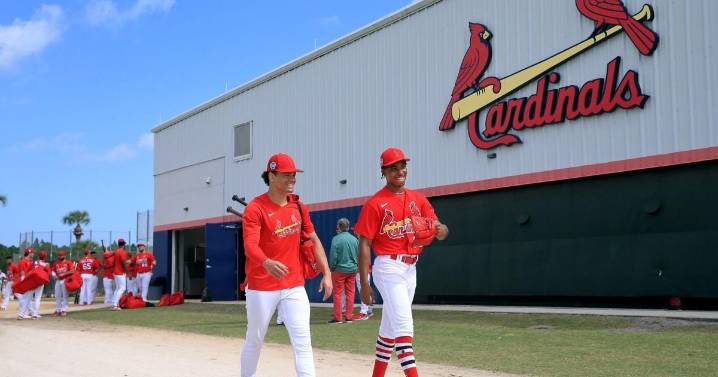 Cardinals Qs: Will Roger Dean renovations be complete by spring? What role awaits Tink Hence?