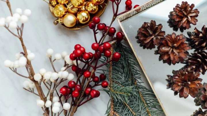 Decoración navideña y flora protegida: no todo lo que encontremos en la Naturaleza puede acabar adornando nuestra casa