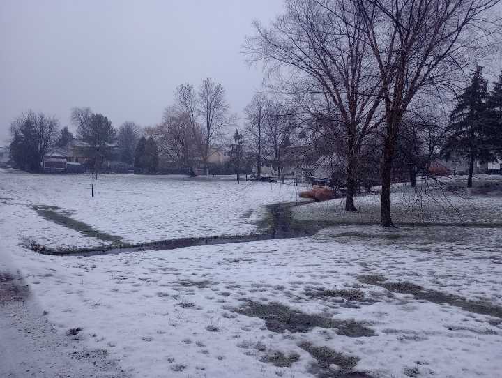 Disc golf coming to Pumpkin Ridge Park