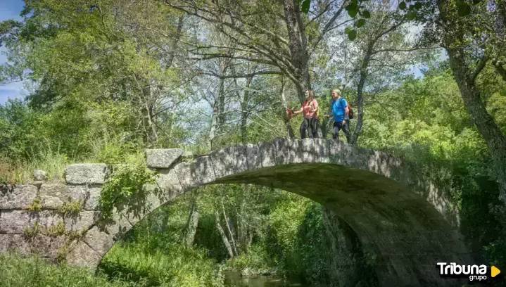 Agenda cultural y de actividades para este fin de semana en la provincia de Salamanca