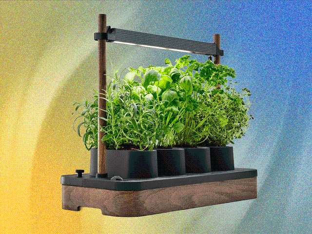 It's Not too Late! The Auk Herb Planter Is Still on Sale
