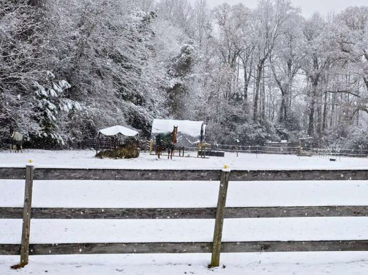 Photos: Snow day in the Historic Triangle