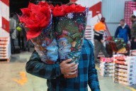 El truco para que la flor de Pascua enrojezca