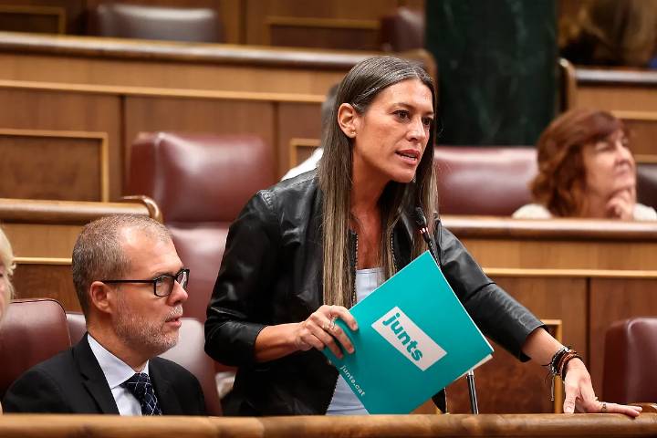 De PP a Vox pasando por PNV y Junts: el PSOE se alía con todas las derechas para contentar a Puigdemont con la multirreincidencia