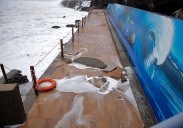 Gáldar llama a quedarse en casa y no acercarse a las zonas de costa este sábado