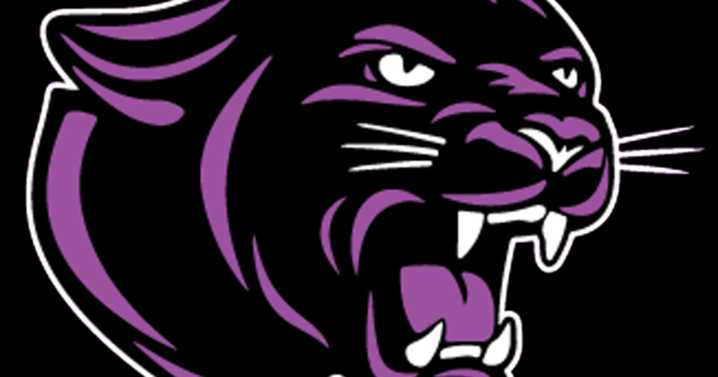 Hampshire tops Jacobs, Woodstock beats Harvard in girls hoops: Tuesday’s Northwest Herald roundup