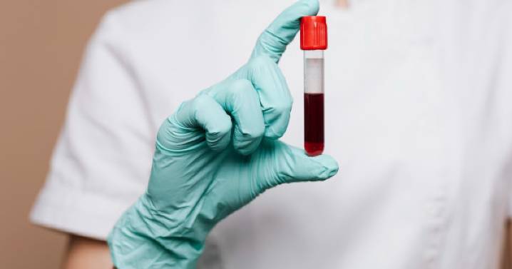 Investigadores logran rejuvenecer células madre sanguíneas: un paso hacia la salud en la vejez