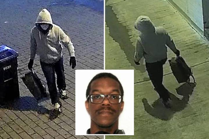 DC pipe-bomb suspect Brian Cole Jr. appears in court for first time