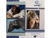 Reader to Reader: December 13, 2025