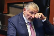 Adán Augusto y la compra millonaria de libros: “hace uno el esfuerzo”