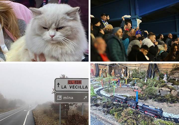 Las noticias imprescindibles de este sábado 13 de diciembre en León