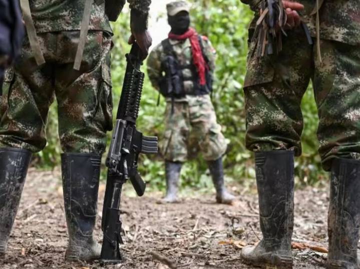 ELN anuncia paro armado de 72 horas desde el 14 de diciembre y alerta a la población civil