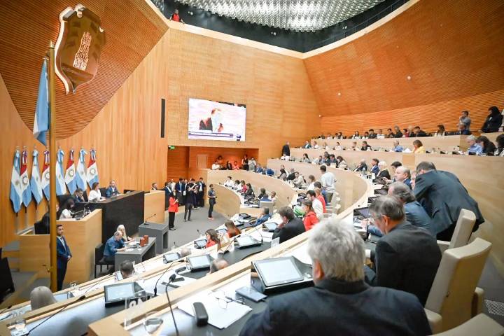 Legislatura: el Comité para la Prevención de la Tortura cuestionó el proyecto oficialista de Procuración Penitenciaria