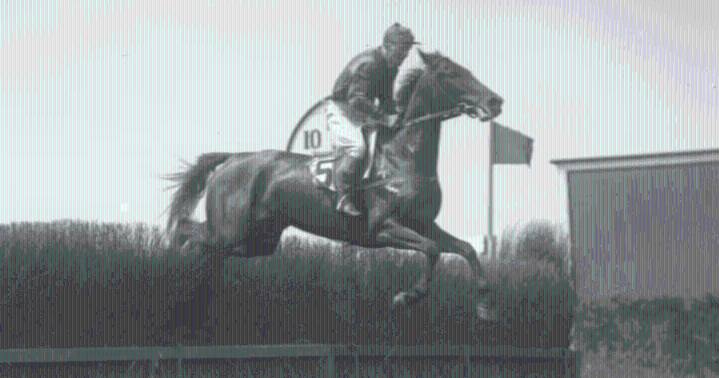 A jockey’s wild finish | Holy Cow! History