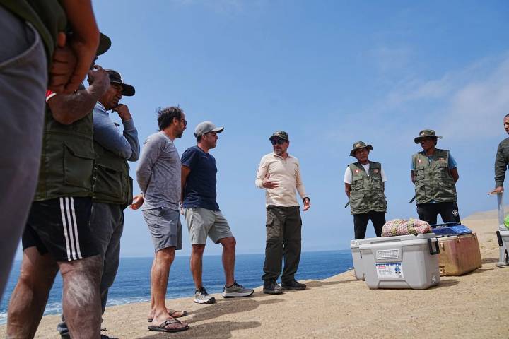 La alianza en la Reserva Nacional de Paracas que une a la alta cocina con la pesca artesanal