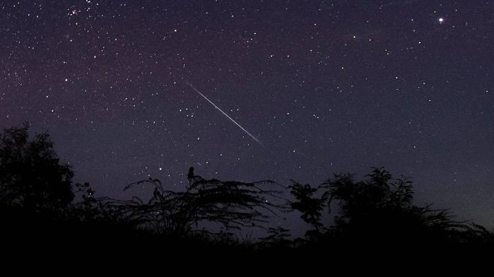 How to watch December's supermoon, meteor showers in Florida