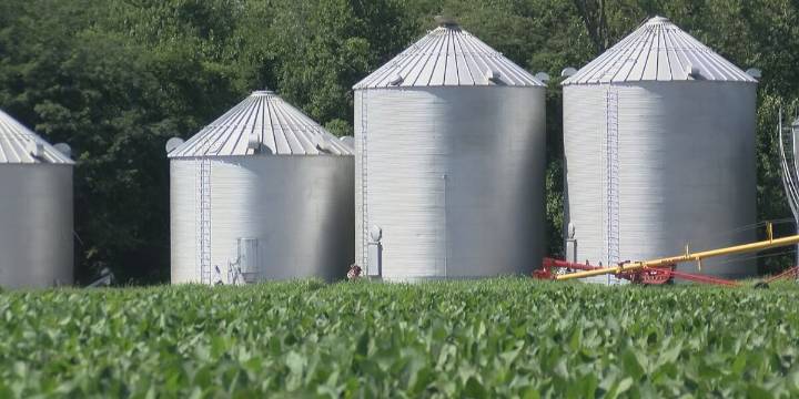 Heartland farmer reacts to Trump’s $12B aid package