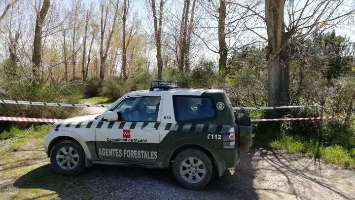 Madrid envía un dispositivo de Agentes Forestales a Barcelona para ayudar contra la peste porcina