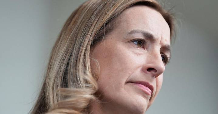 14 hope to make ballot in race to succeed Gov.-elect Mikie Sherrill in Congress