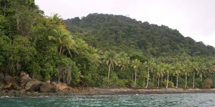 Polémica por presunta base militar estadounidense en Isla Gorgona: director de la Ungrd aclaró la situación