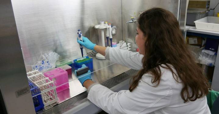 Nuevos horizontes en la investigación de las enfermedades neurológicas