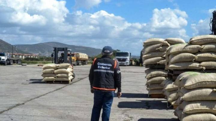 Exportan desde Lara 161 toneladas de café verde a EEUU