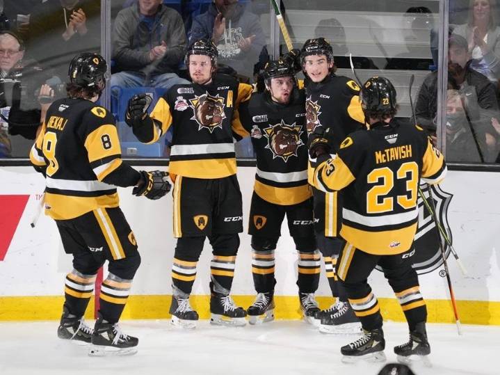 OHL powerhouse Bulldogs getting new arena in Brantford