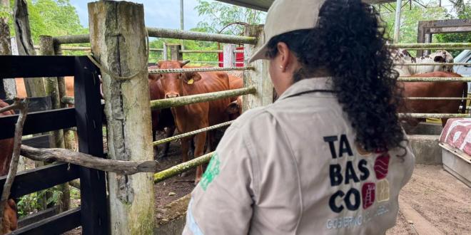 Jalpa de Méndez será el primer municipio de Tabasco en completar el Barrido Sanitario