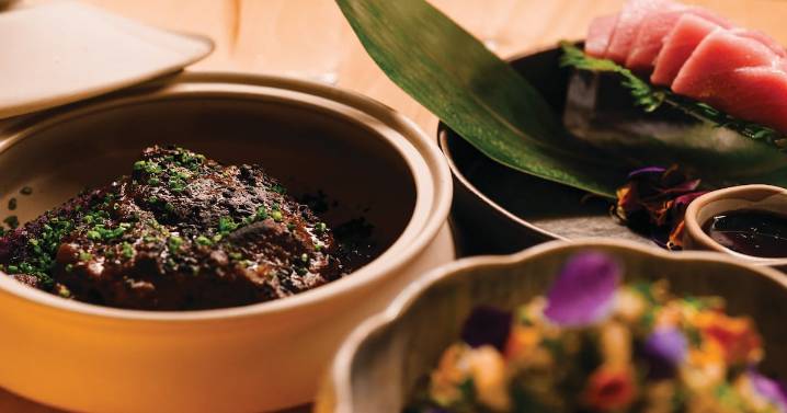 Terra Mae’s Alcatra Is a Masterful Bowl of Japanese-Portuguese Cultural History