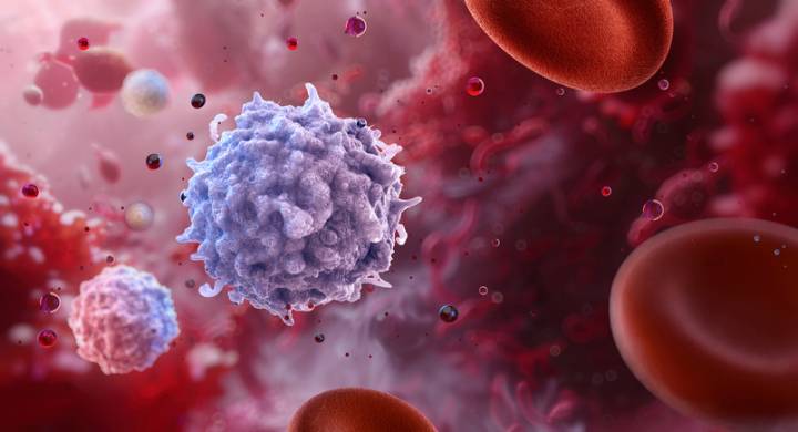 FDA Flexibility Leads to First Approved Gene Therapy for Rare Blood & Immune System Disorder