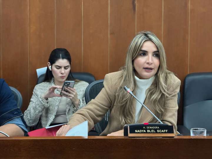 Quién será el nuevo timonel del Partido Conservador ante la renuncia de Blele