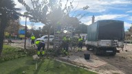 El robo en Canet ralentiza el trabajo en jardinería