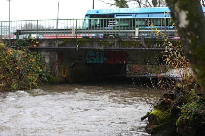 Rain continues to pound Portland with possible flooding Tuesday, Wednesday, breezy winds