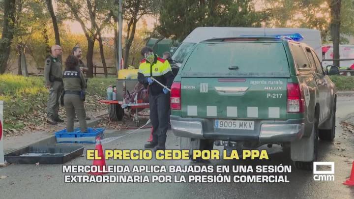 El precio cede por la PPA. Mercolleida aplica bajadas por la presión comercial