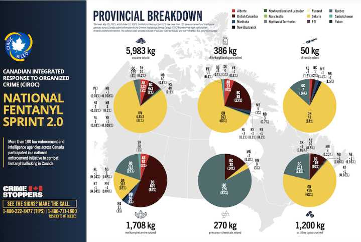 National fentanyl crackdown seizes most 'precursor chemicals' in Quebec