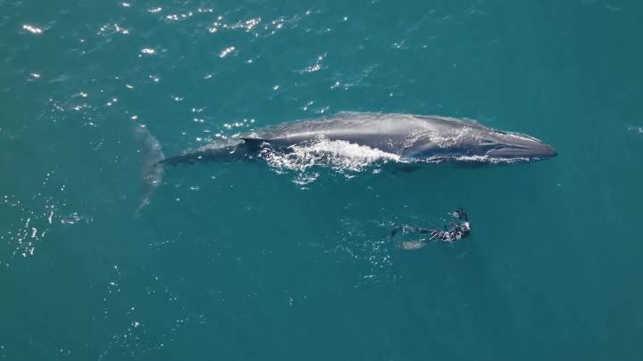Con el documental SEI, Rada Tilly lanza la temporada de verano