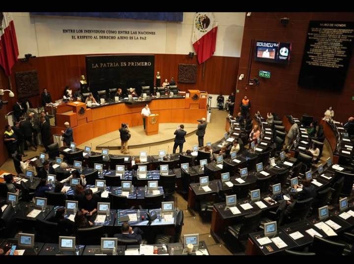 Senado endurece penas por delitos ambientales y exime a comunidades rurales