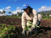 Comunidades de Nariño apuestan por la agroecología para combatir la degradación del suelo