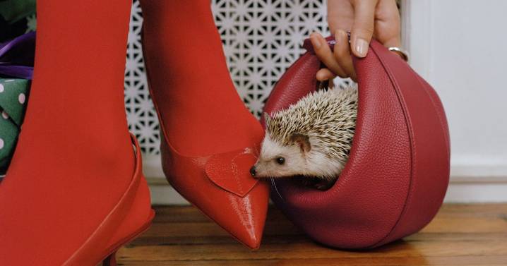 Kate Spade's 4-In-1 Handbag Is On Everyone's Wishlist — Including Mine